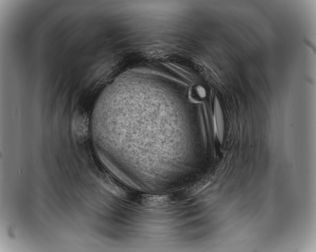 X0000096680081200802191402