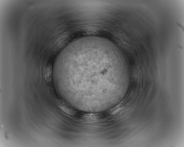 X0000096680082200802191402