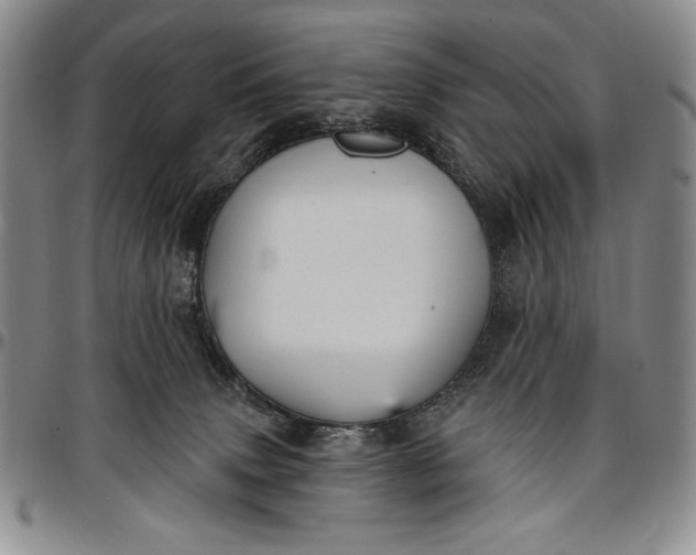 X0000096680083200802191402