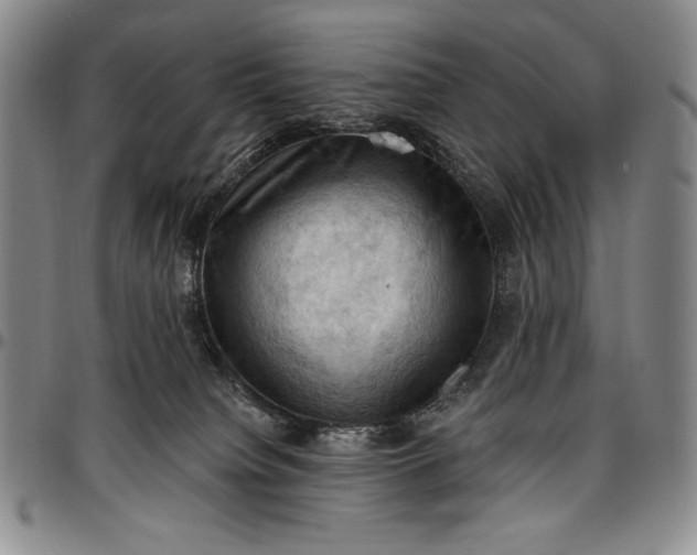X0000096680084200802191402