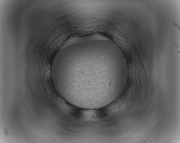 X0000096680085200802191402