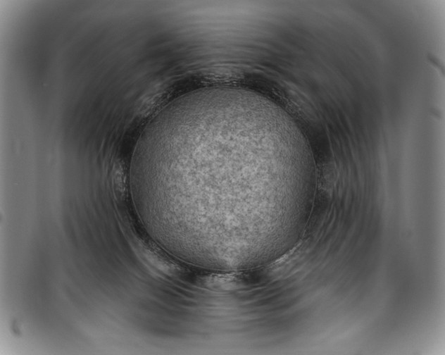 X0000096680086200802191402
