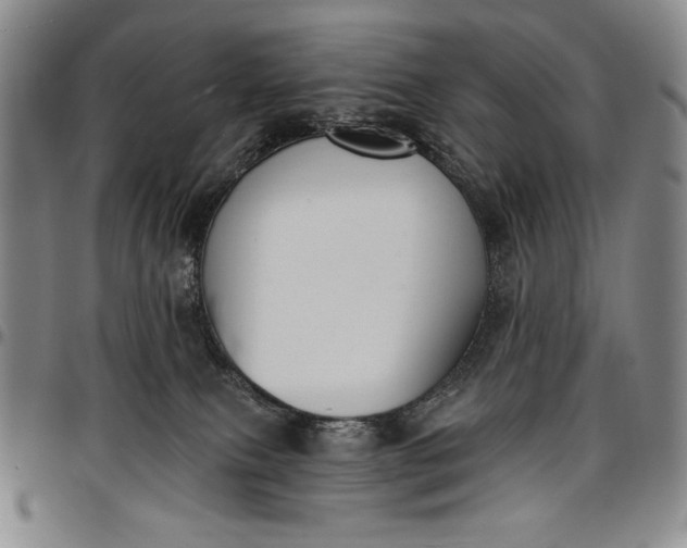 X0000096680087200802191402