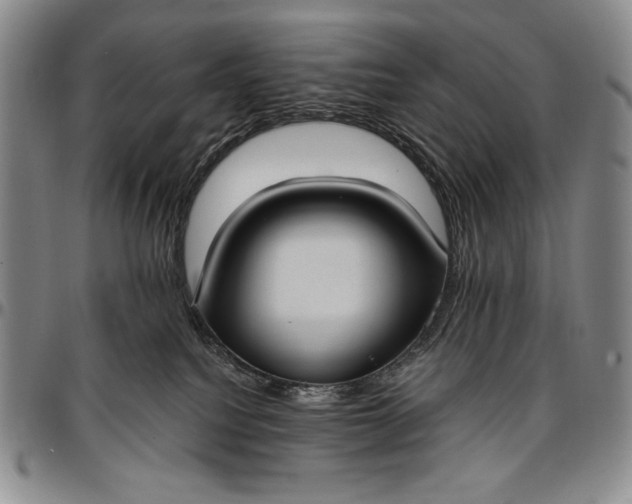 X0000096680088200802191402