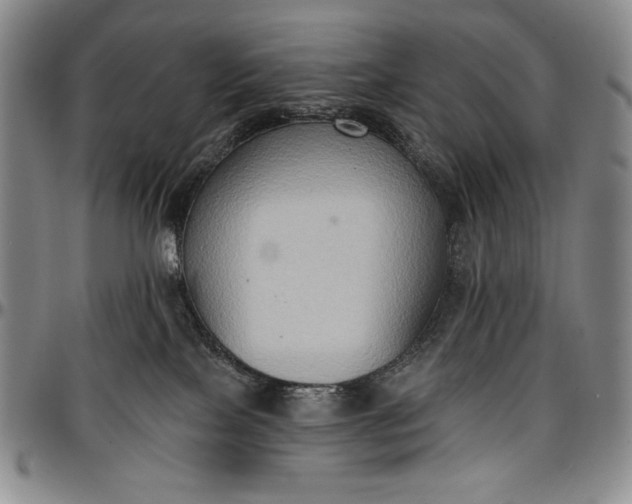 X0000096680089200802191402