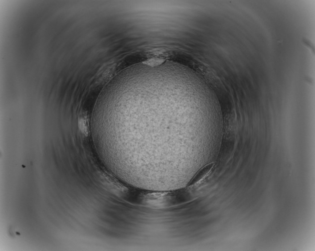 X0000096680090200802191402