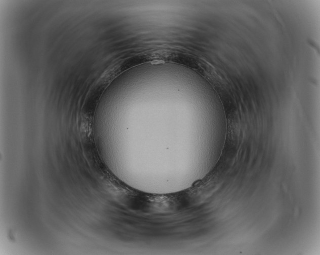 X0000096680091200802191402