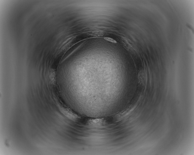 X0000096680092200802191402