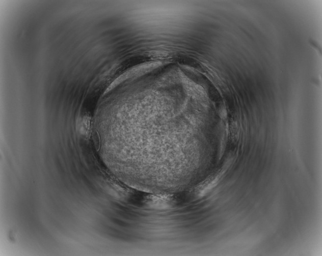 X0000096680093200802191402