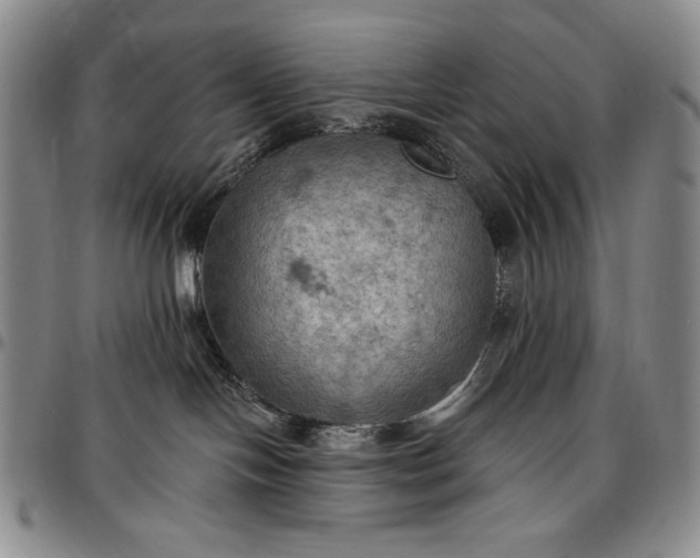 X0000096680094200802191402