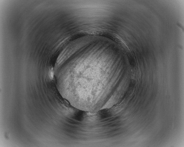 X0000096680095200802191402