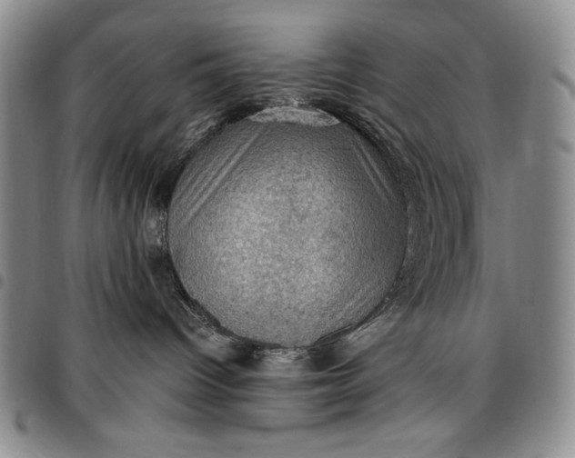 X0000096680096200802191402