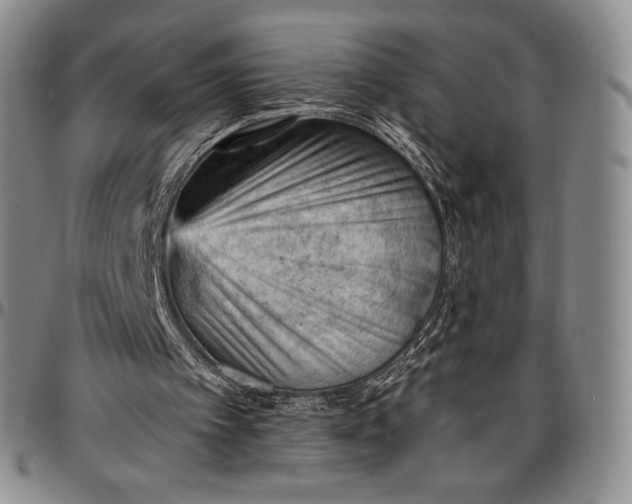 X0000096680097200802191401