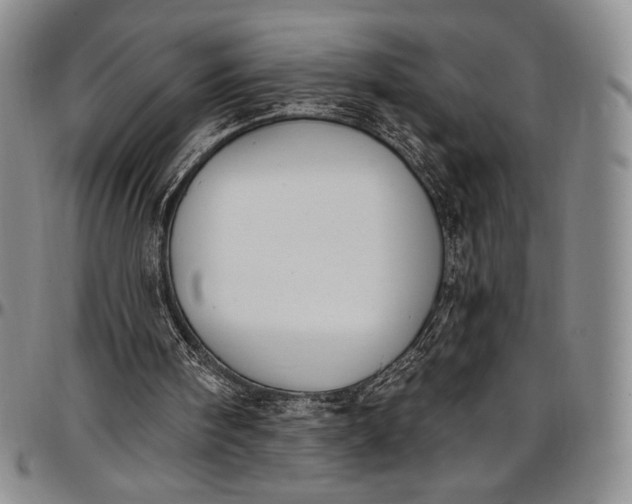 X0000096680098200802191401