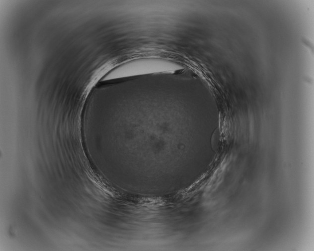 X0000096680099200802191401
