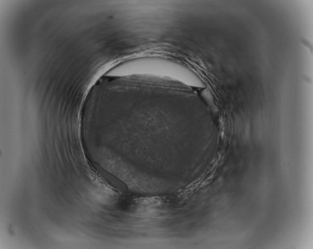 X0000096680100200802191401