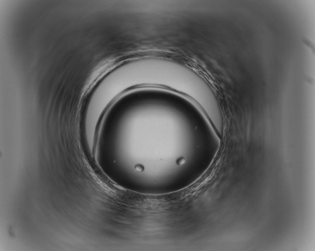 X0000096680101200802191401