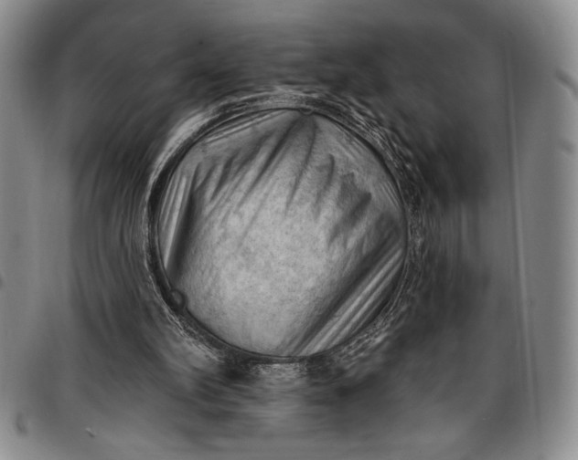 X0000096680102200802191401