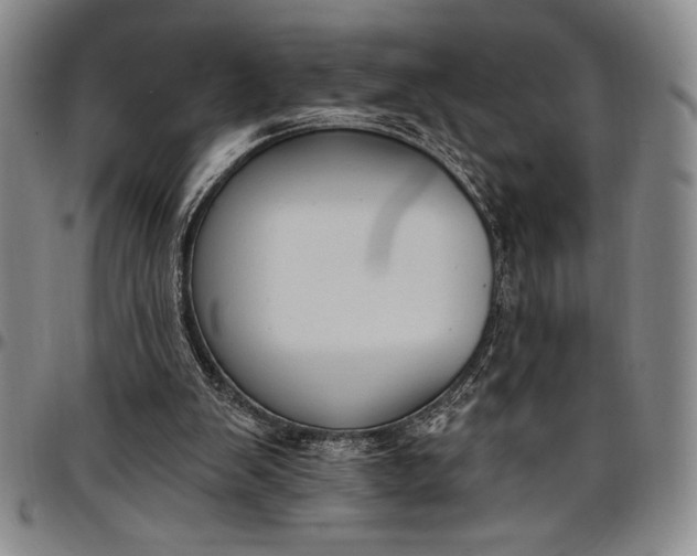 X0000096680103200802191401