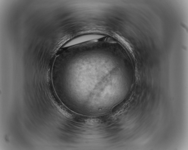 X0000096680105200802191401