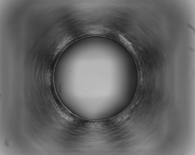 X0000096680106200802191401
