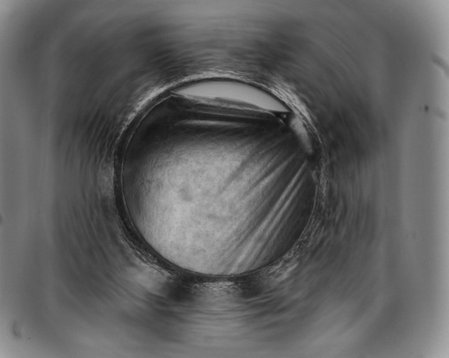 X0000096680108200802191401