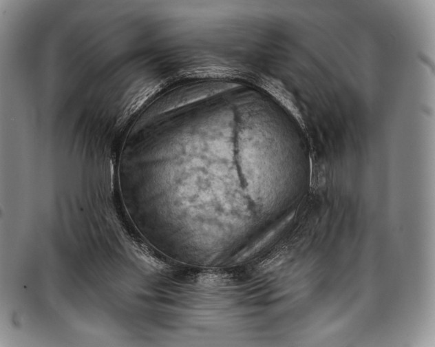 X0000096680109200802191401