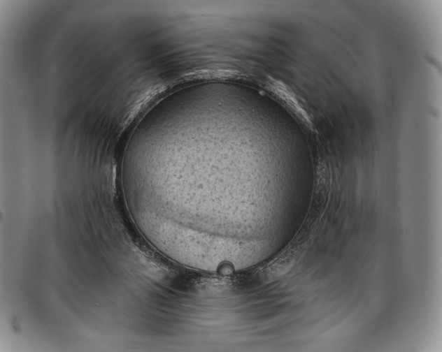 X0000096680110200802191401