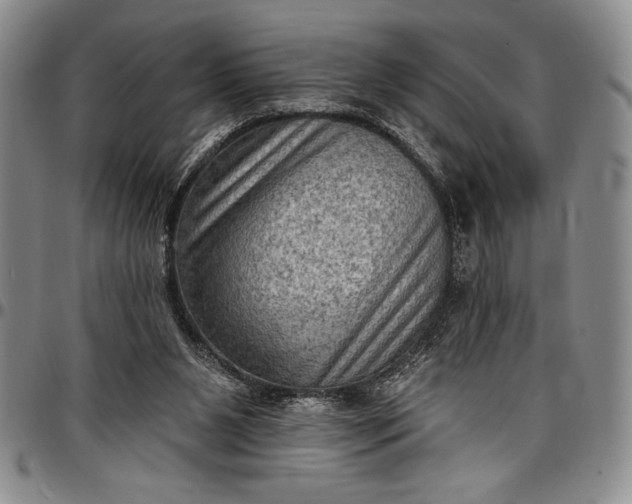 X0000096680111200802191401