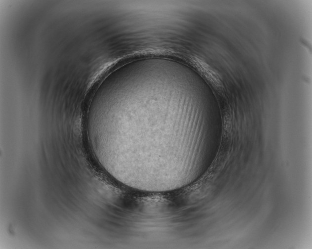 X0000096680112200802191401