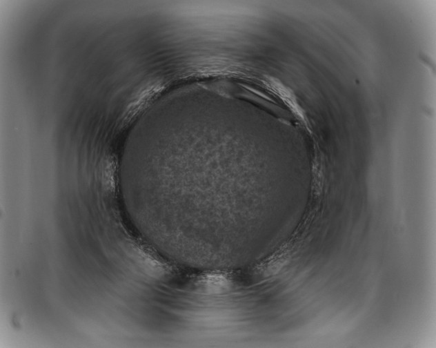 X0000096680114200802191401