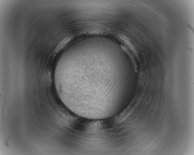 X0000096680116200802191401