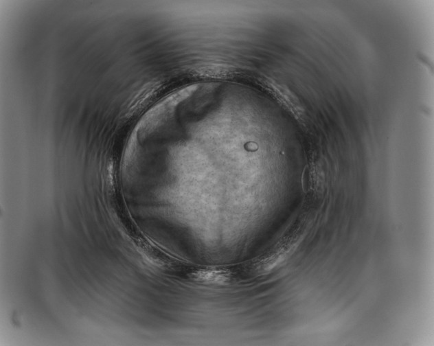 X0000096680117200802191401