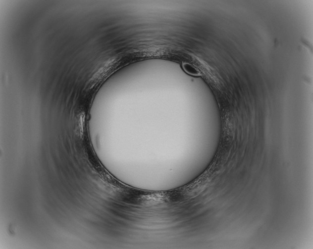 X0000096680118200802191401