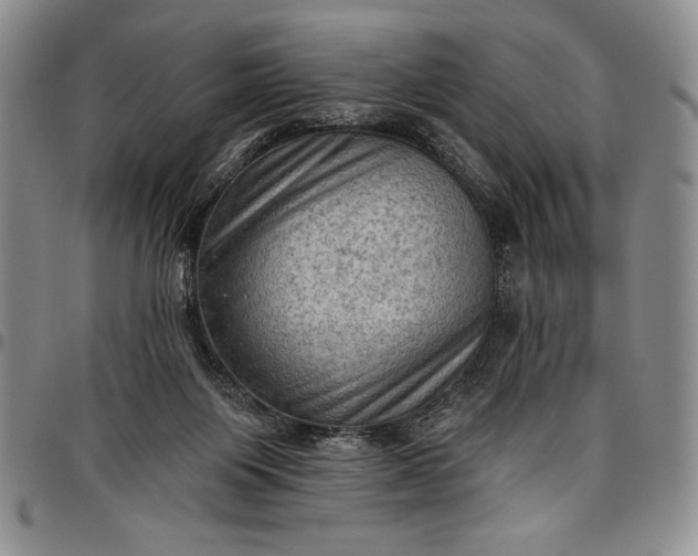 X0000096680119200802191401