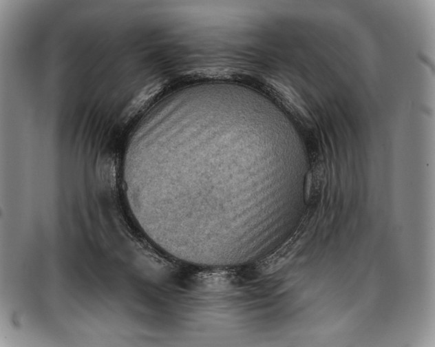 X0000096680120200802191401