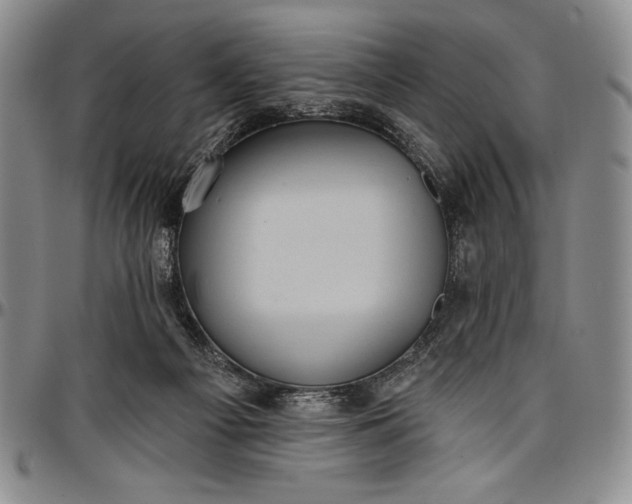X0000096680121200802191401
