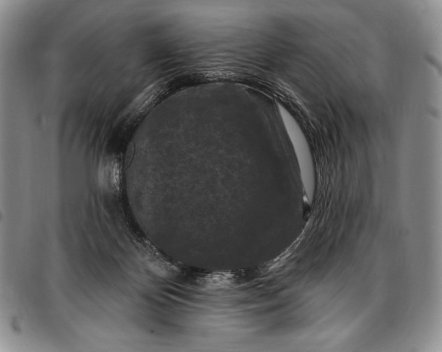 X0000096680124200802191401