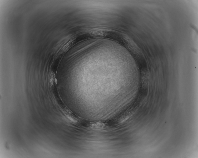 X0000096680125200802191401