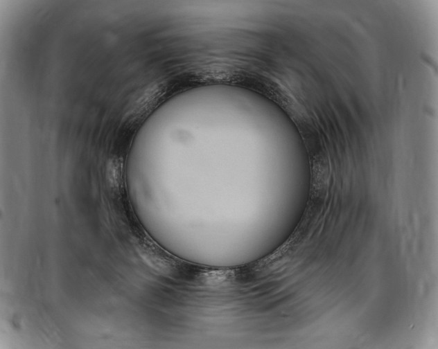 X0000096680126200802191401
