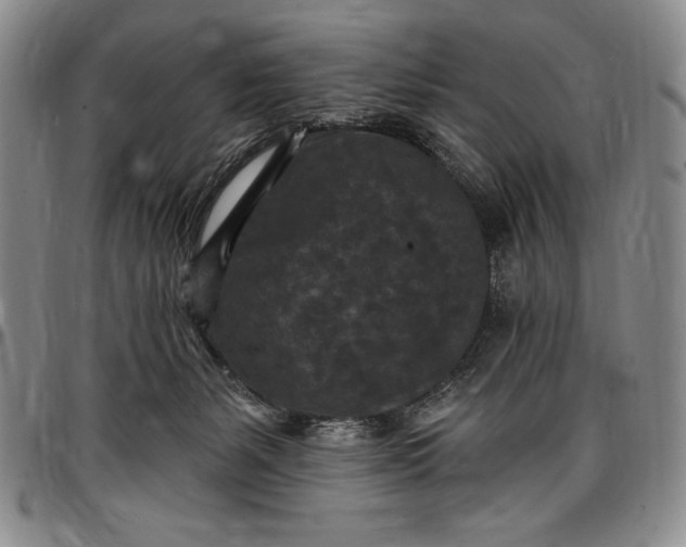 X0000096680127200802191401