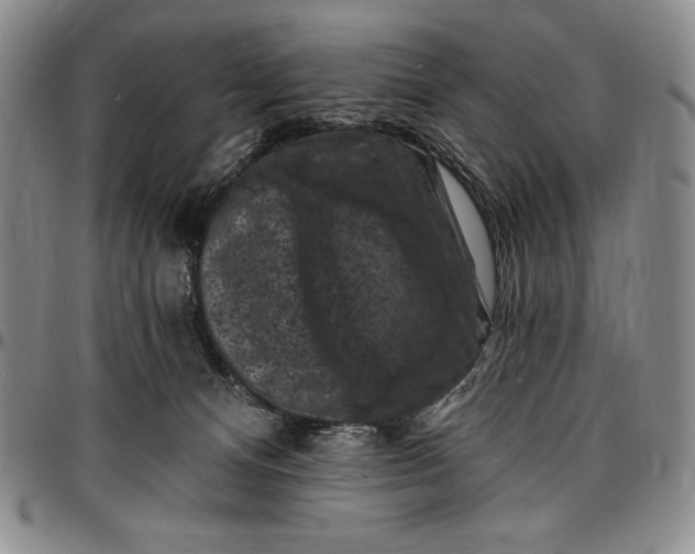 X0000096680128200802191401