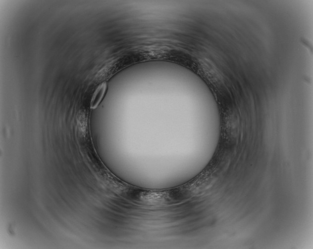 X0000096680129200802191401