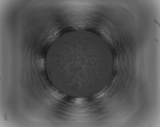 X0000096680130200802191401