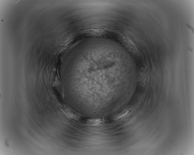 X0000096680131200802191401