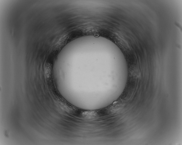 X0000096680133200802191401