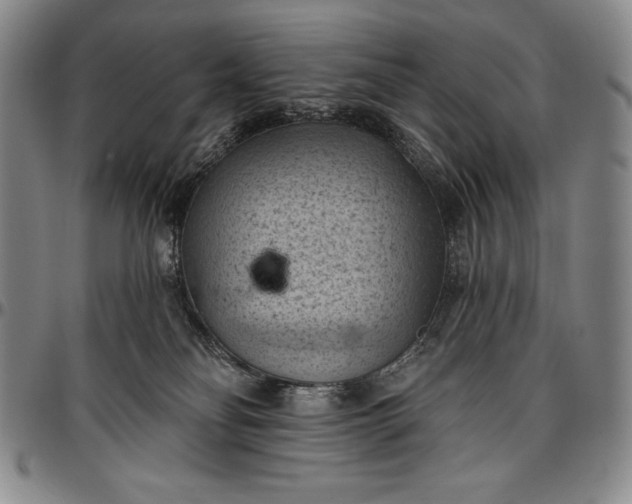 X0000096680134200802191400