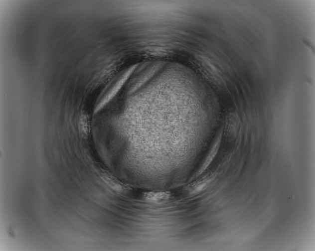 X0000096680135200802191400
