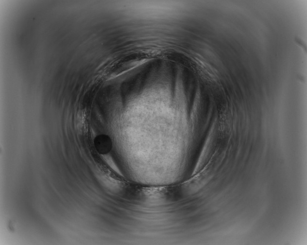 X0000096680136200802191400