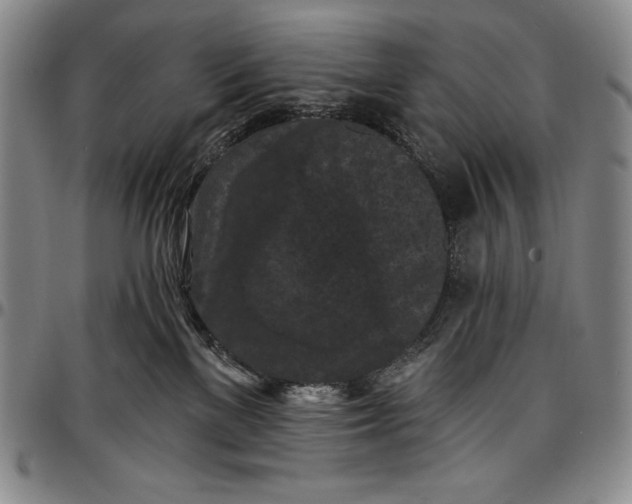 X0000096680137200802191400